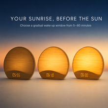 NatureRise gradual 5 to 60 minute sunrise progression